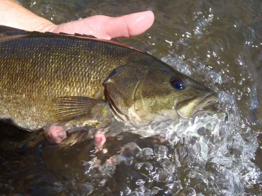 Fishing escape.jpg